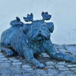 2026-01-08 Brandenburg an der Havel/Waldmöpse/DSC_2273.JPG